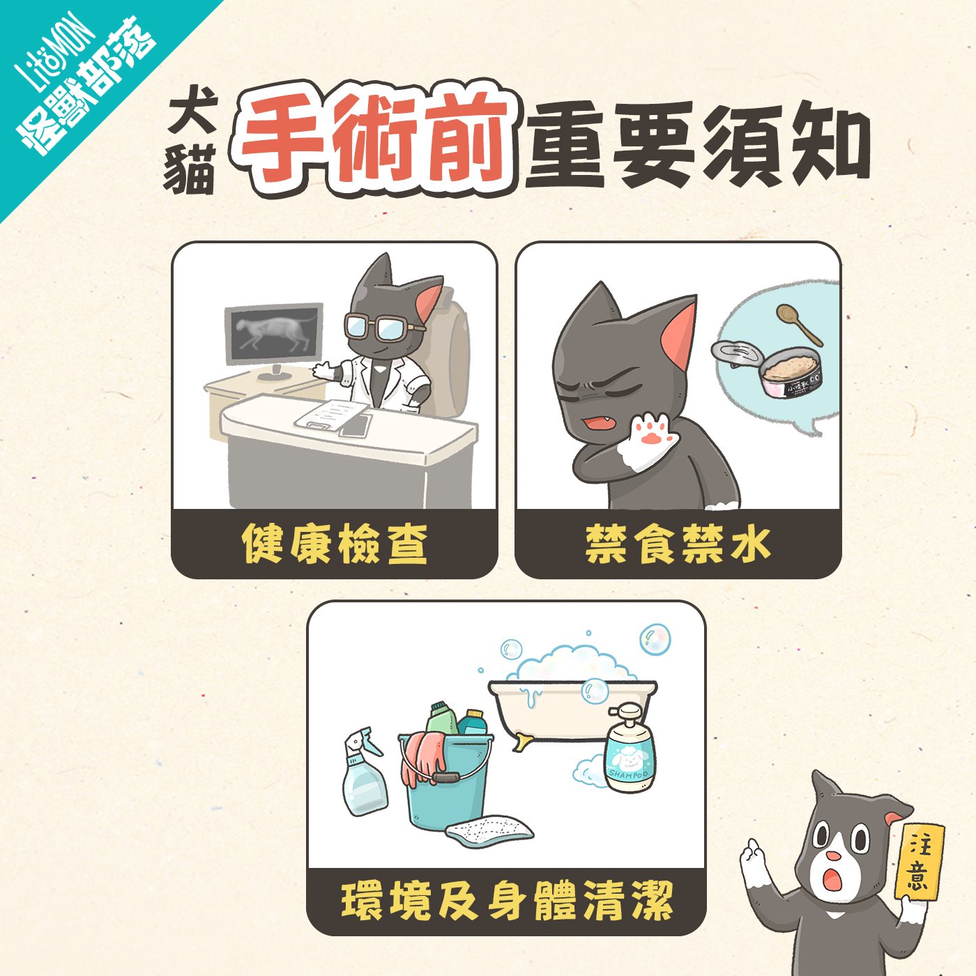 貓狗手術 手術前檢查 手術前注意 貓手術 狗手術