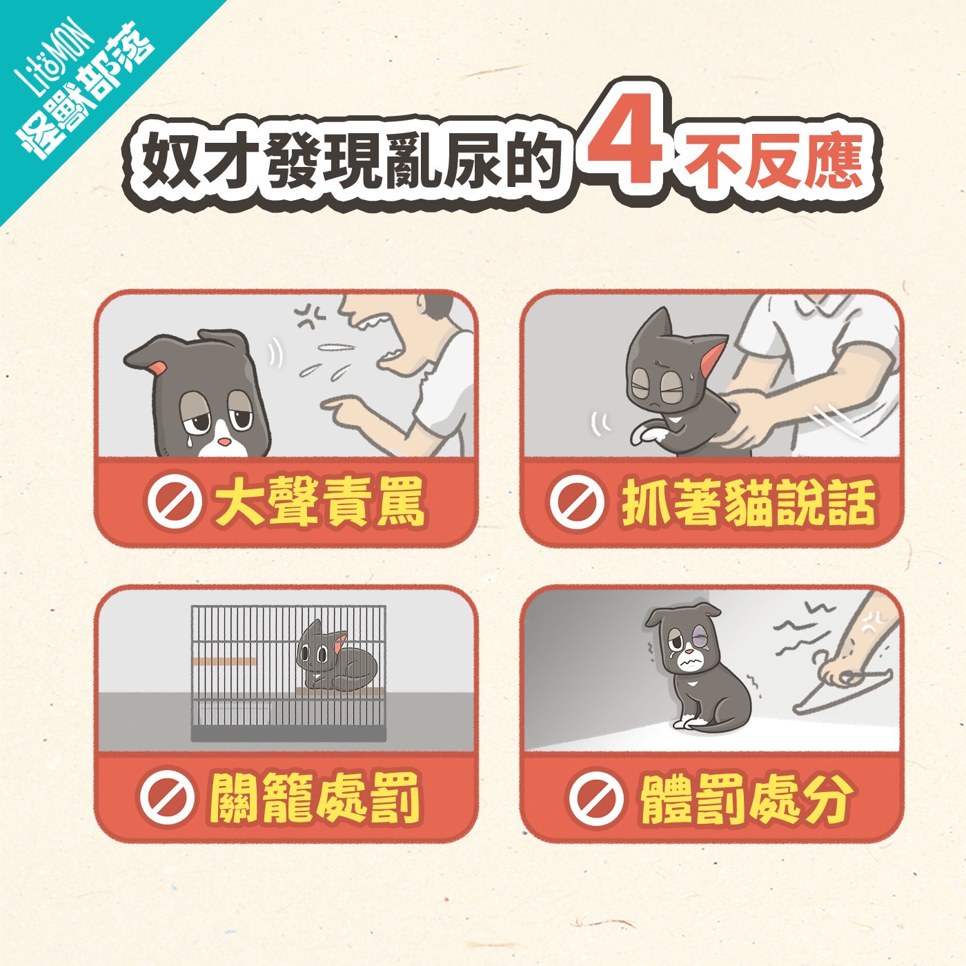 貓咪亂尿 怎麼辦 反應