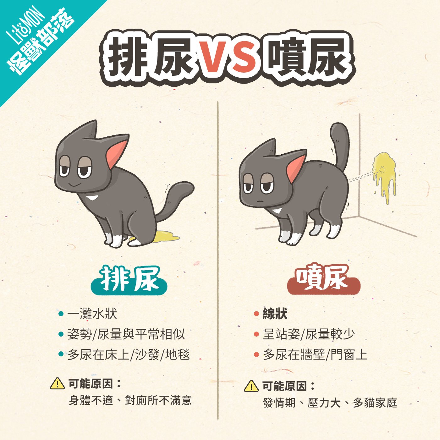 貓咪亂尿 排尿與噴尿