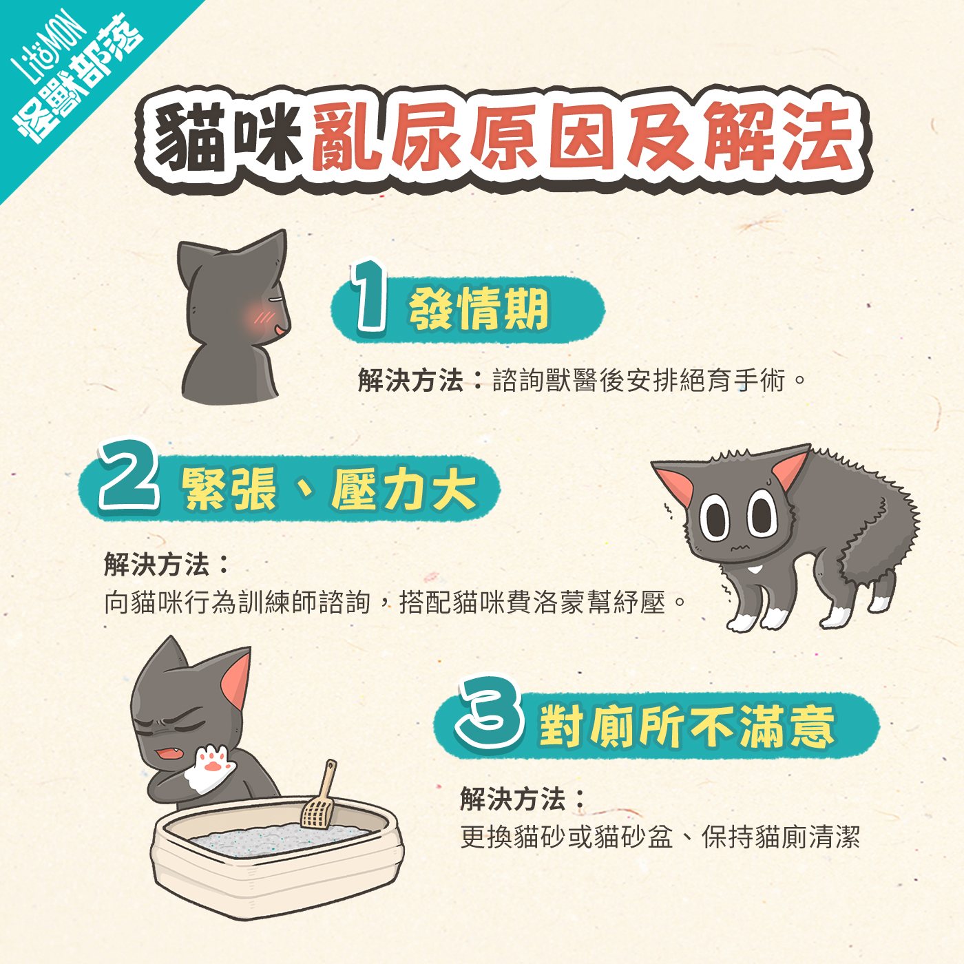 貓咪亂尿 原因 解決方法