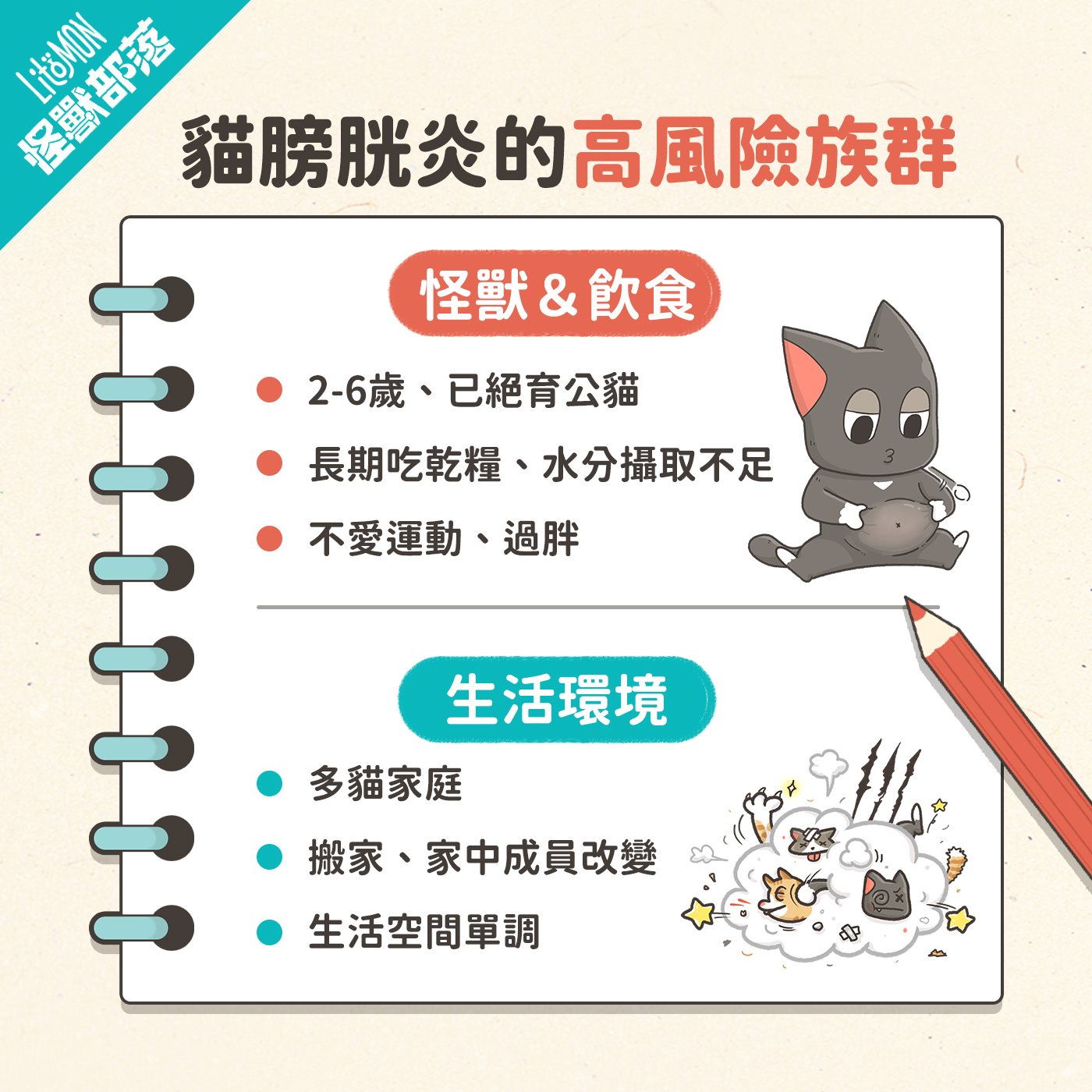 貓膀胱炎 高風險族群