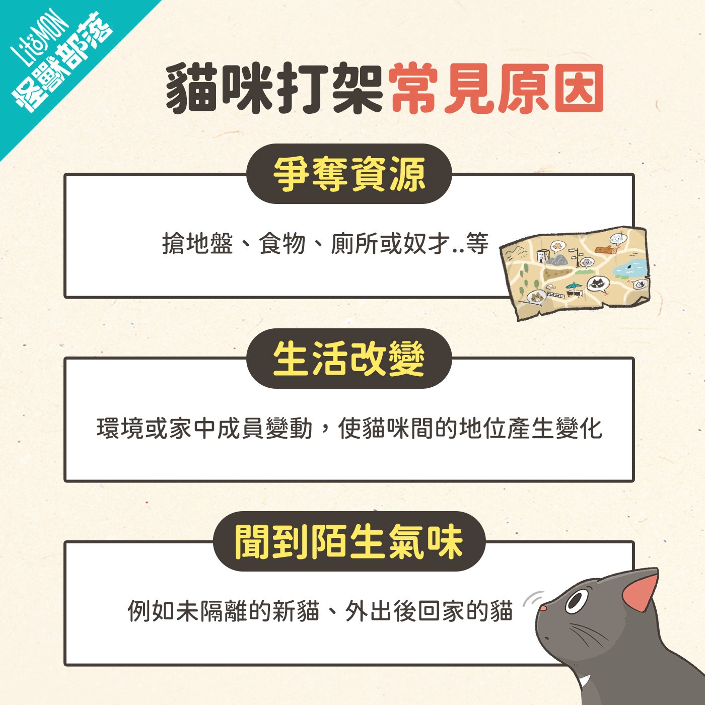 多貓家庭 貓咪打架原因