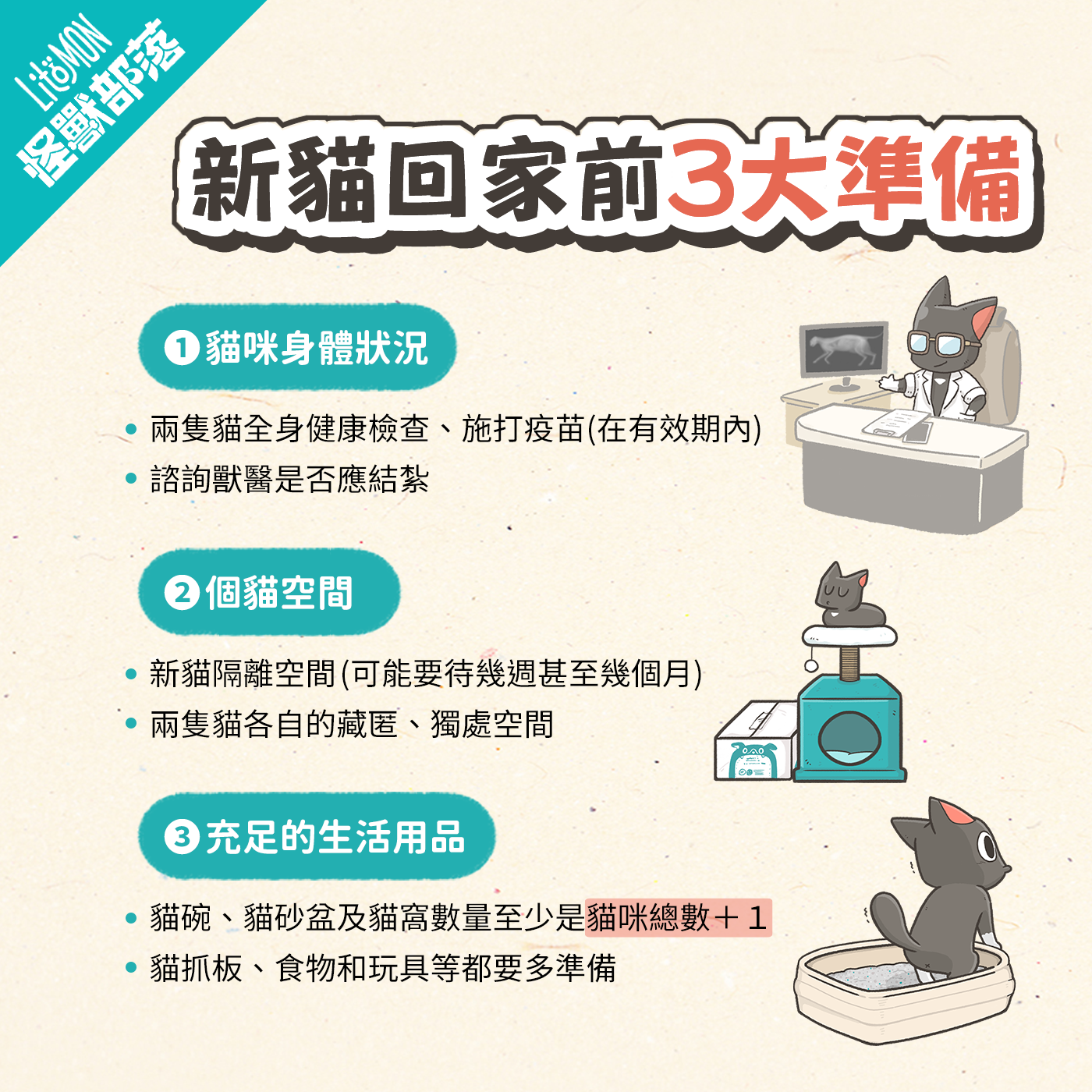 養第二隻貓 準備 注意