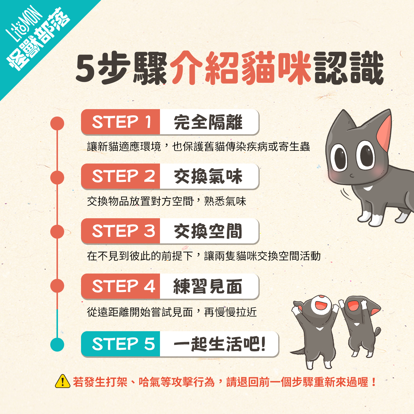 養第二隻貓 養兩隻貓 相處 注意