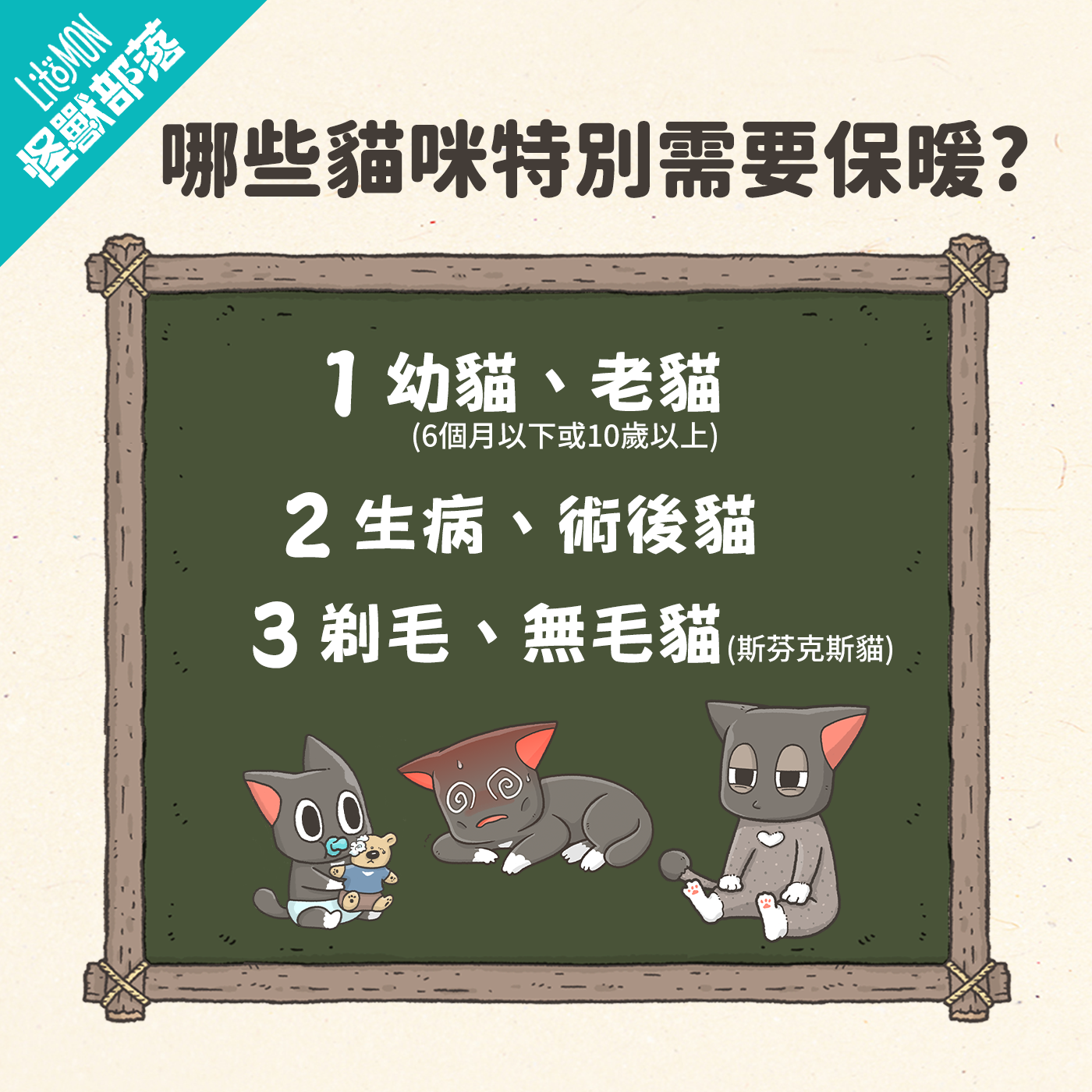 貓咪保暖 貓咪冬天 貓咪怕冷