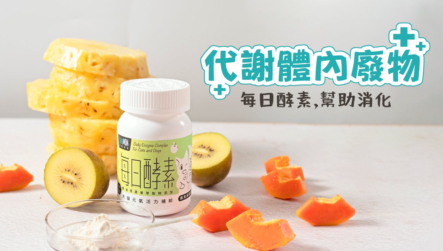 貓胰臟炎 貓咪酵素 寵物酵素