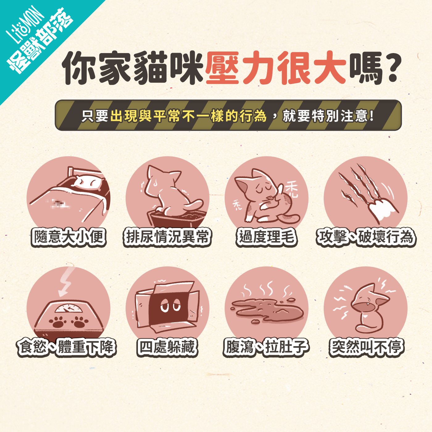 貓晚上一直叫 貓咪晚上不睡覺