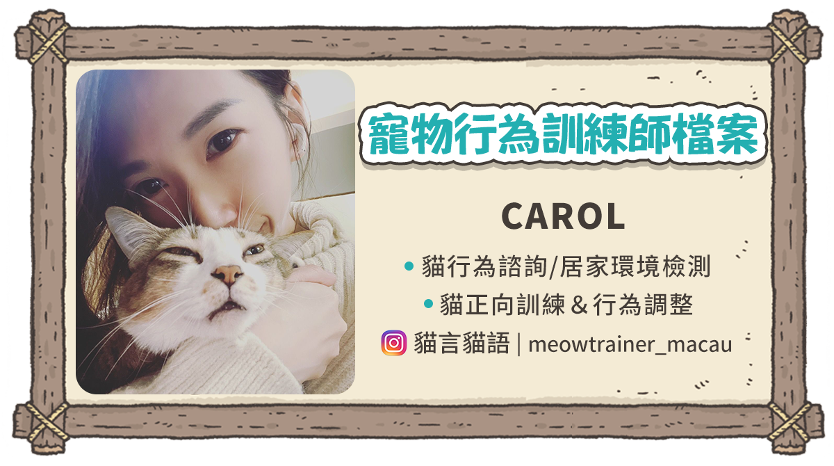 貓咪費洛蒙 是什麼 貓咪壓力 貓費洛蒙