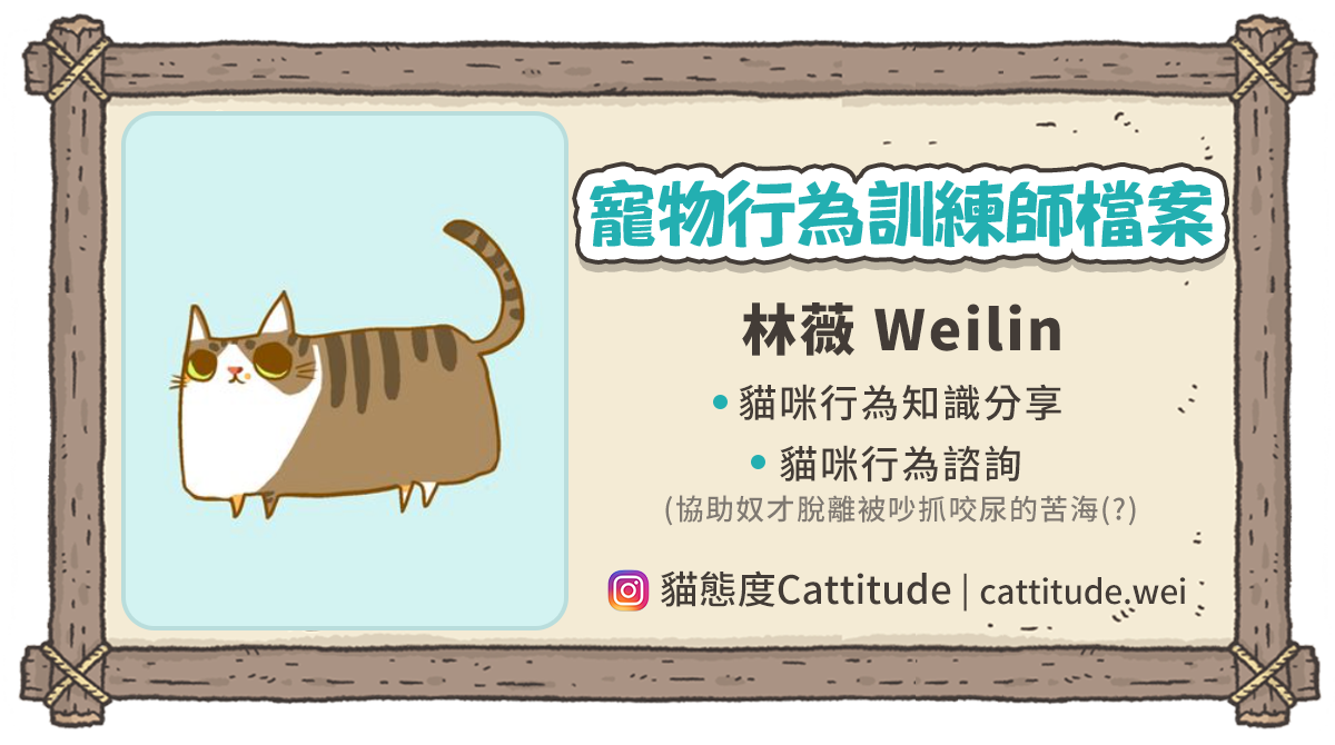訓練貓過來