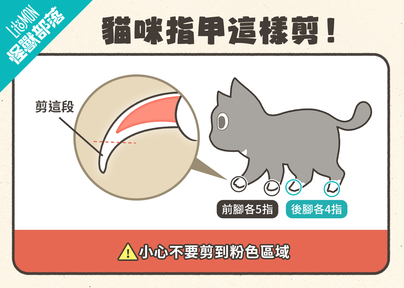 貓咪剪指甲