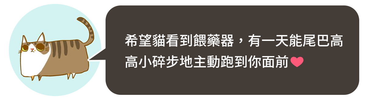 貓咪餵藥