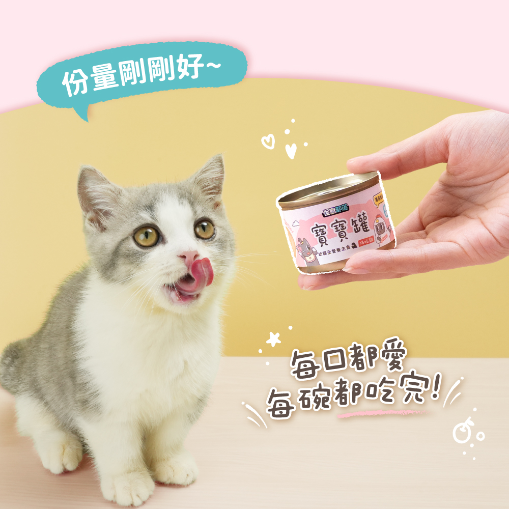 貓迷你罐 貓罐頭 貓主食罐 貓罐頭推薦