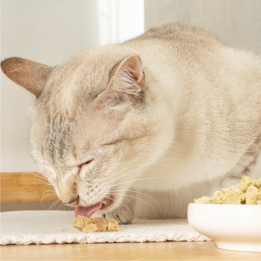 凍乾零食、野味零食、野味凍乾零食