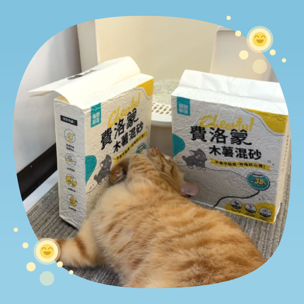 relaxcatlittercassava_IMG_5